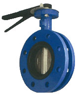 Double flanged butterfly valve