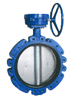 Lugged type butterfly valve