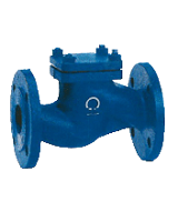 ND40 check valve
